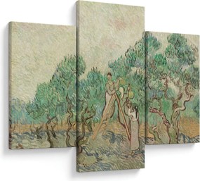 Kép - Vincent van Gogh, The Olive Orchard, reprodukciók (90x60 cm)