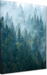 Vászonkép 60x80 Erdő a ködben Utazás