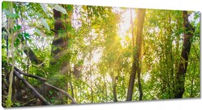 Képek 115x55 Gyalogtúra