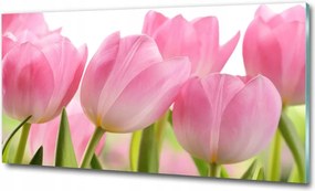 Fotótapéta üvegfalra Rózsaszín tulipánok 100x70