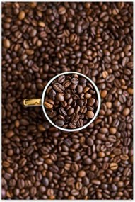 Poszterek 80x120 Kávébab