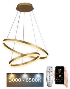 NEDES LED állítható fényerejű csillár kábellel LED/70W/230V 3000-6500K + DO J4310/G