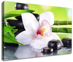 Gario Vászonkép Fehér orchidea és kövek Méret: 100 x 70 cm