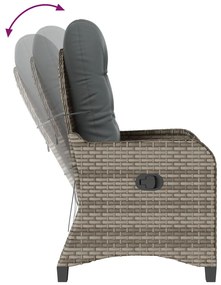 Fotel párnával Szürke Poly Rattan