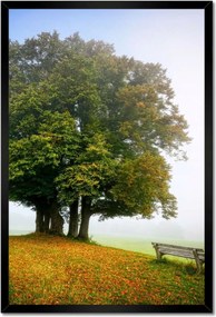 Poszterek keretben 40x60 Tájkép paddal Fa
