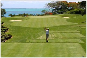 Poszterek 120x80 Golfozó a mezőn