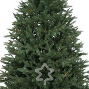 Kanadai lucfenyő 100 % 150 cm