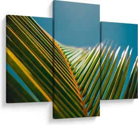 Kép - A pálmalevél részlete (90x60 cm)