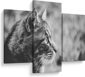 Kép - Macska (90x60 cm)