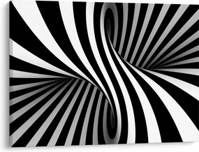 Absztrakt kép zebra csíkokkal (70x50 cm)