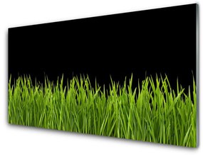 Üvegkép Green Grass Nature 100x50 cm