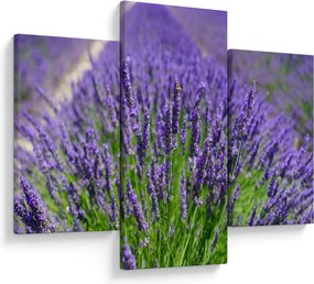 Kép - levandula (90x60 cm)