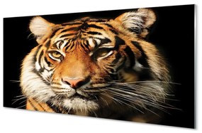 Üvegképek Tigris 100x50 cm