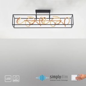 Paul Neuhaus 6473-18 - LED Szabályozható csillár rúdon SELINA 4xLED/10,2W/230V