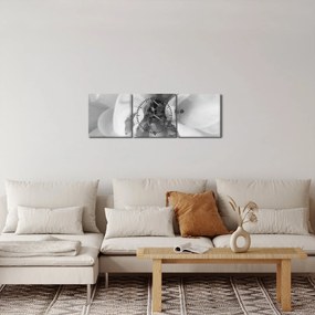 Kép - Virág, fekete-fehér (órával) (90x30 cm)