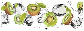 Akril üveg kép Kiwi és víz oah-52519216