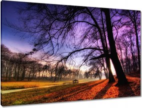 Vászonkép 90x60 Bajusz park