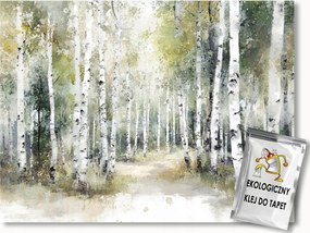 Fotótapéta Flizelina Tájkép Erdő Nyírfák Ösvény 208x146 ragasztó