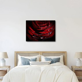 Kép - Rózsa részlete (70x50 cm)