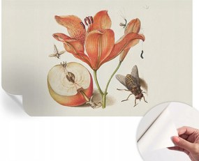 Dekoratív öntapadós fotótapéta az irodába Botanikus illusztráció 416x254