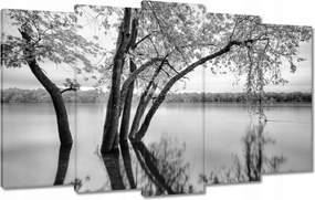 Vászonkép 100x60 Fák Erdő Tó