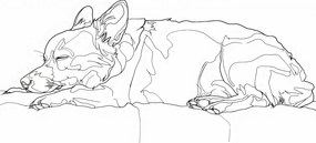 Poszter 84x59,5cm Alvó kutyus