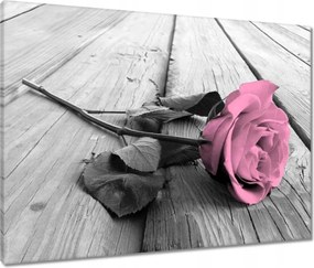 Vászonkép 80x60 Púderrózsa a deszkákon