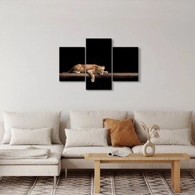 Kép - Lioness (90x60 cm)
