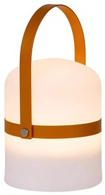 Lucide 06802/01/43 - LED Kültéri dimmelhető lámpa LITTLE JOE LED/0,3W/3,7V IP44