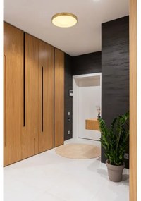 Globo 12381-22 - LED Mennyezeti lámpa TIBEY LED/22W/230V átm. 35 cm