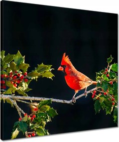 Vászonkép 50x50 Madarak