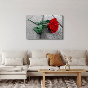 Kép - Piros rózsa zöld szárral (90x60 cm)