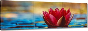 Vászonkép 120x40 Vízi liliom Virág Víz