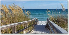 Fotó üvegkép Tengerparti dűnék 140x70