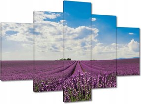 Festmények 150x105 Levendulamező Levendula