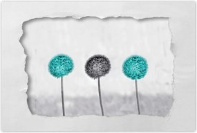 Poszterek 90x60 Türkiz pitypangok