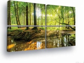 Vászonkép 120x80 Erdő folyó patak nap természet zöld víz tükröződés nyugalom