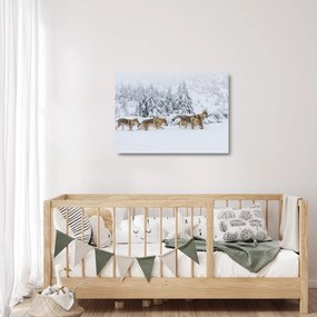 Üveg kép - Farkasok a hegyekben (70x50 cm)