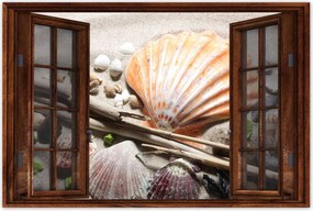 Poszterek 90x60 Kagylók a balti tengerpartról