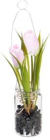 Művirág (magasság 18 cm) Tulip – Ixia