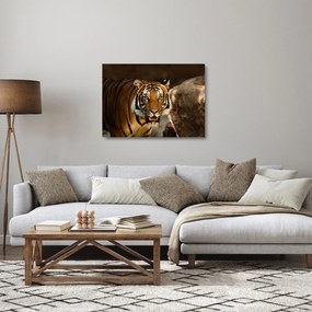 Tigris képe (üvegen) (70x50 cm)
