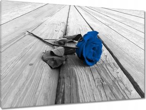 Vászonkép 120x80 Kék rózsa a deszkákon