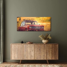 Autó a mezőben képe (120x50 cm)