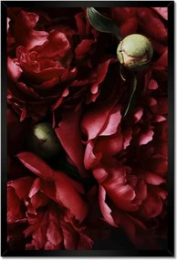 Poszterek keretben 40x60 Bazsarózsa bordó hangulatban
