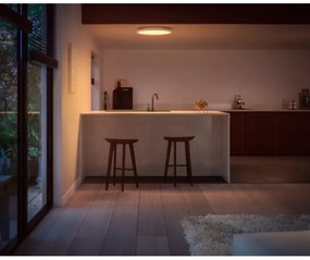 Philips - RGBW Dimmelhető mennyezeti lámpa Hue SURIMU LED/40W/230V