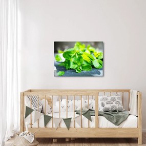 A menta képe (70x50 cm)