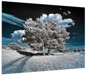 Hófehér fa képe (70x50 cm)