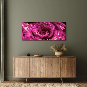 Rózsaszín rózsa virágzata képe (120x50 cm)
