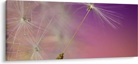 Boldogság képe (120x50 cm)