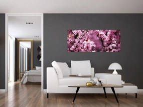 Kép - Rózsaszín sakura (120x50 cm)